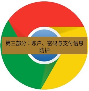 谷歌浏览器下载 第三部分：账户、密码与支付信息防护