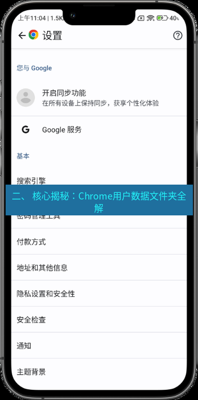 谷歌浏览器下载 二、 核心揭秘：Chrome用户数据文件夹全解