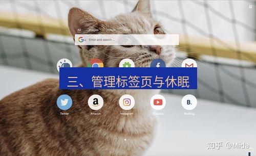 谷歌浏览器下载 三、管理标签页与休眠