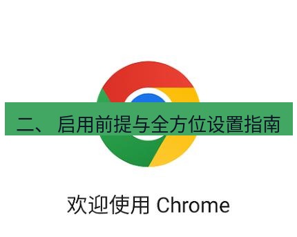 谷歌浏览器下载 二、 启用前提与全方位设置指南