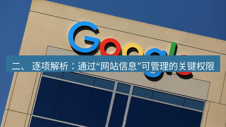 谷歌浏览器下载 二、 逐项解析：通过“网站信息”可管理的关键权限