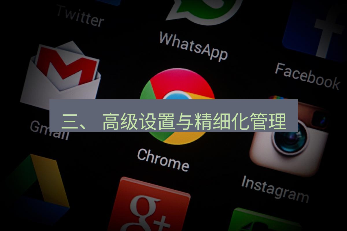 谷歌浏览器下载 三、 高级设置与精细化管理