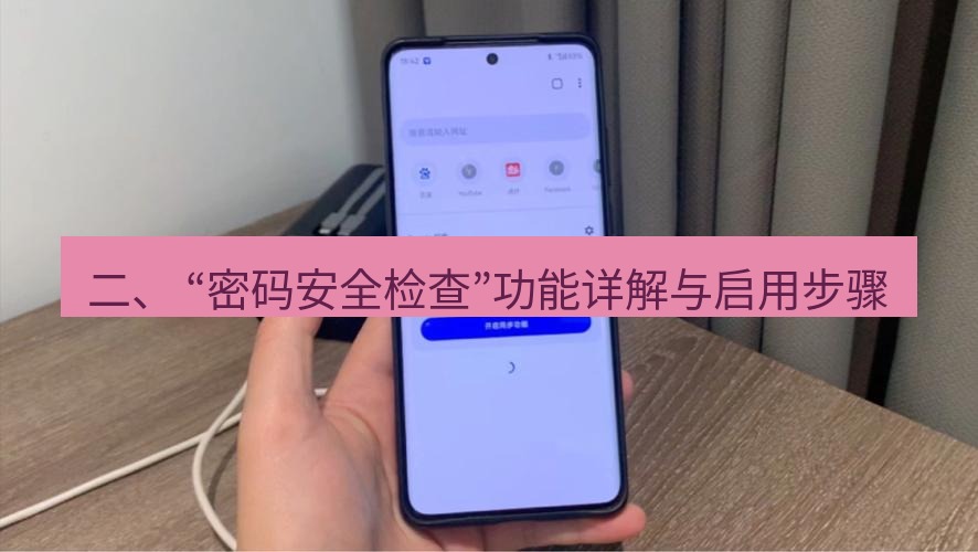 谷歌浏览器下载 二、 “密码安全检查”功能详解与启用步骤