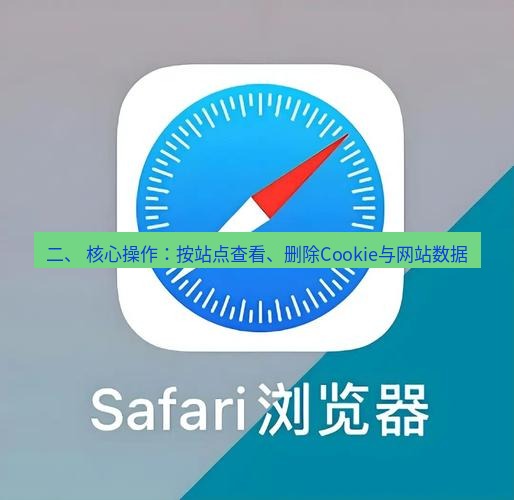 谷歌浏览器下载 二、 核心操作：按站点查看、删除Cookie与网站数据