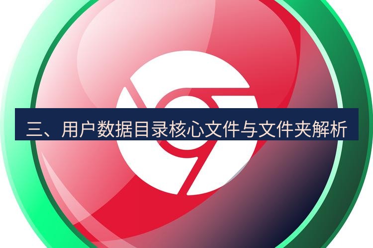 谷歌浏览器下载 三、用户数据目录核心文件与文件夹解析