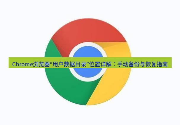 谷歌浏览器下载 Chrome浏览器“用户数据目录”位置详解：手动备份与恢复指南