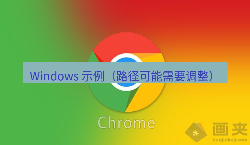 谷歌浏览器下载 Windows 示例（路径可能需要调整）