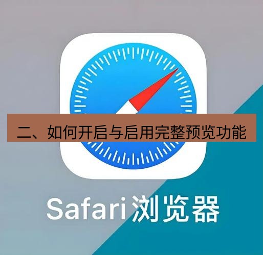 谷歌浏览器下载 二、如何开启与启用完整预览功能