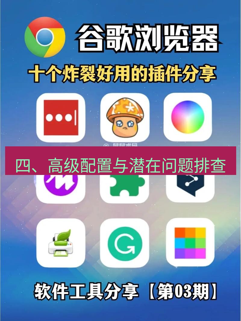 谷歌浏览器下载 四、高级配置与潜在问题排查
