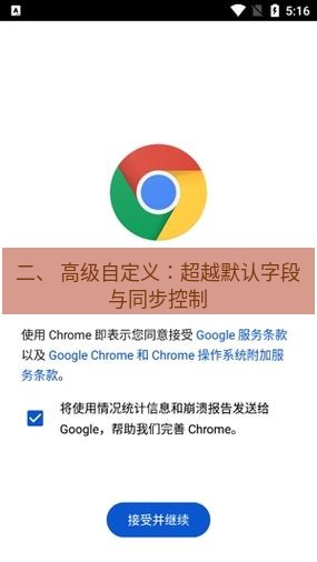 谷歌浏览器下载 二、 高级自定义：超越默认字段与同步控制