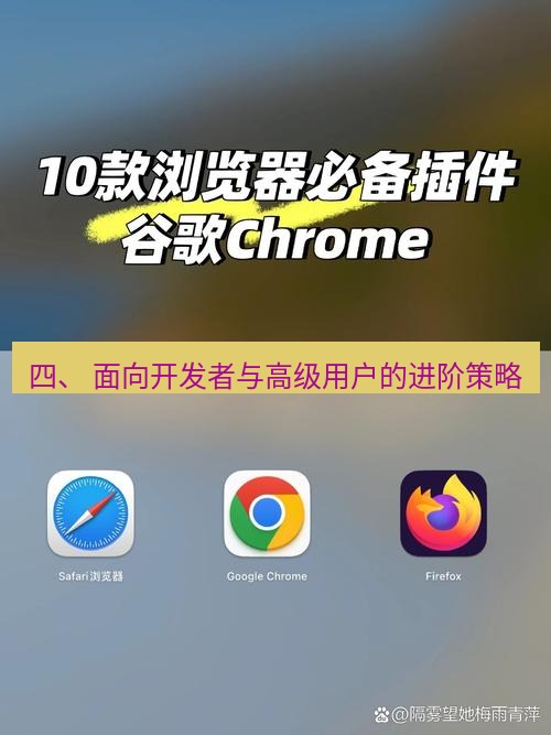 谷歌浏览器下载 四、 面向开发者与高级用户的进阶策略