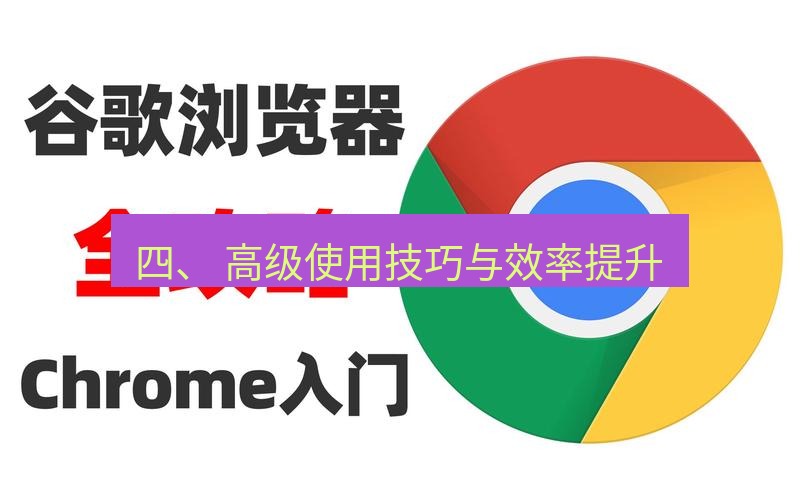 谷歌浏览器下载 四、 高级使用技巧与效率提升
